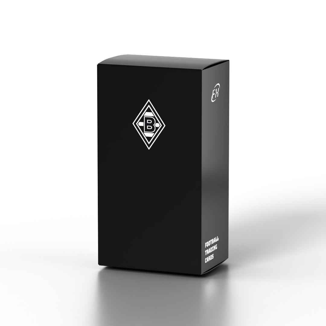 2024-25 FUTERA Borussia Mönchengladbach FX