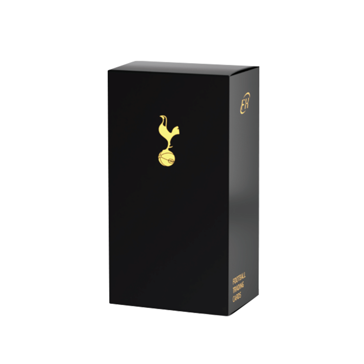 2024-25 FUTERA Tottenham Hotspur FX