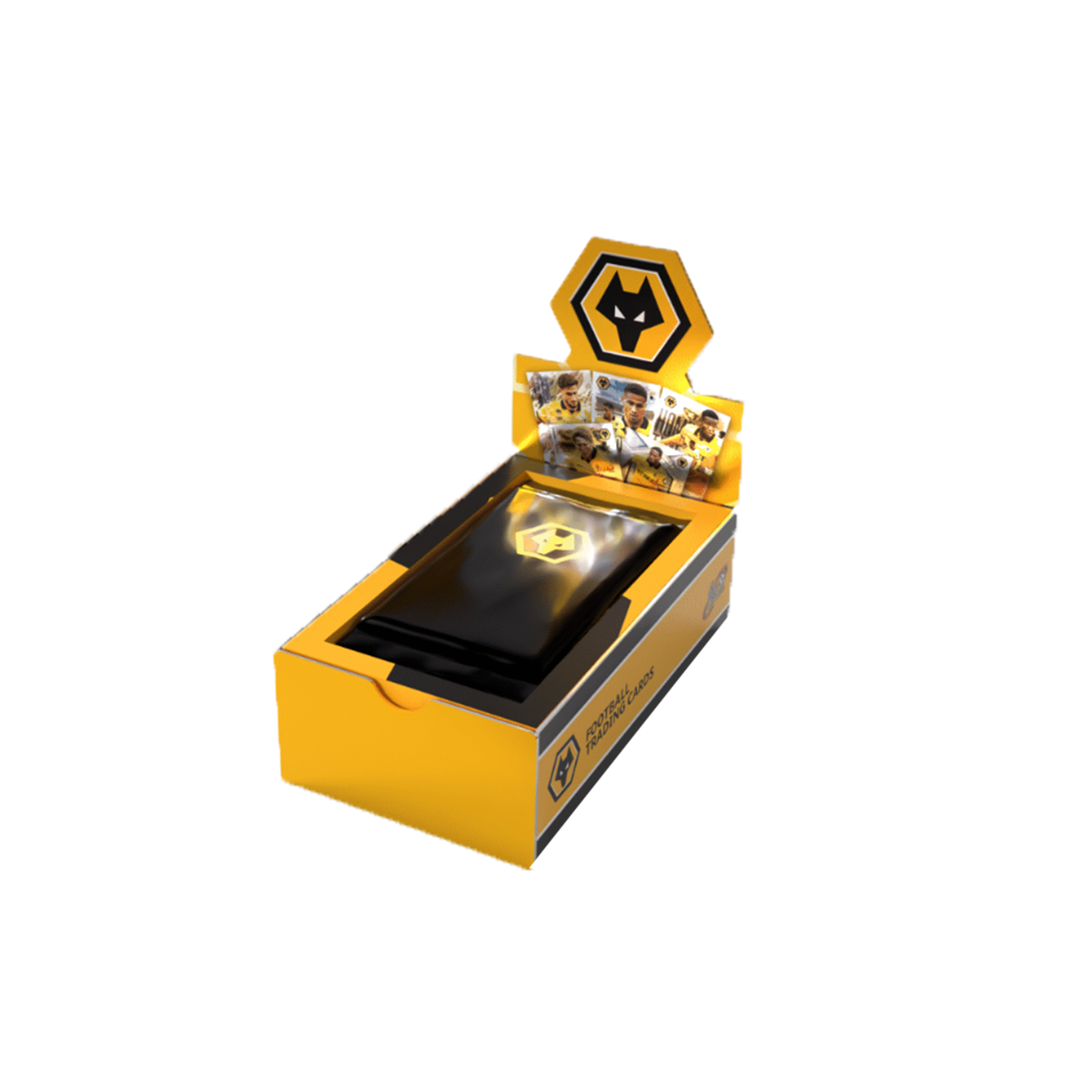 2025-26 FUTERA Wolverhampton Wanderers Fans Selection